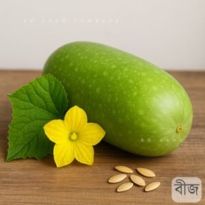 হাজারী চালকুমড়া