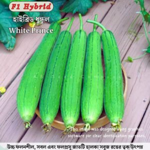 হাইব্রিড ধুন্দুল