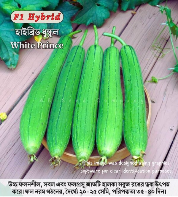 হাইব্রিড ধুন্দুল