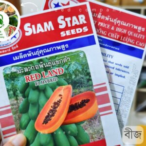 হাইব্রিড পেঁপে, রেড ল্যান্ড