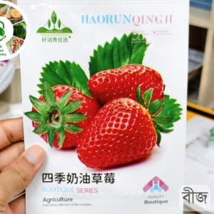 স্ট্রবেরি