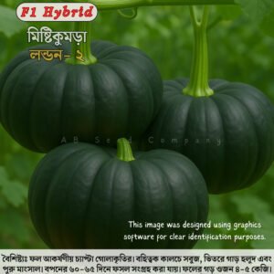 হাইব্রিড কুমড়া