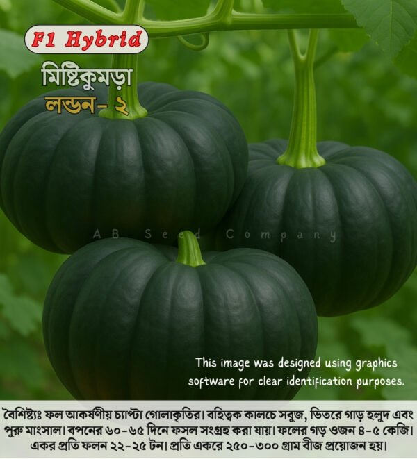 হাইব্রিড কুমড়া