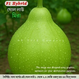 হাইব্রিড গোল লাউ