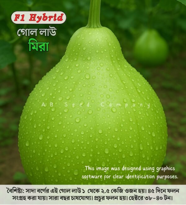 হাইব্রিড গোল লাউ