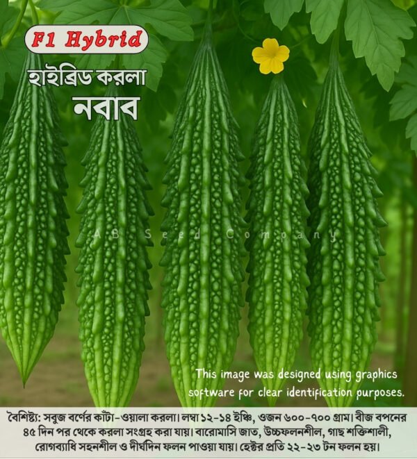 হাইব্রিড করলা