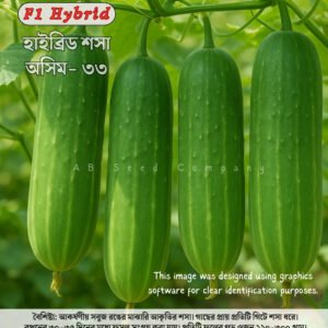 হাইব্রিড শসা