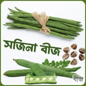 ১২ মাসি সজিনা বীজ