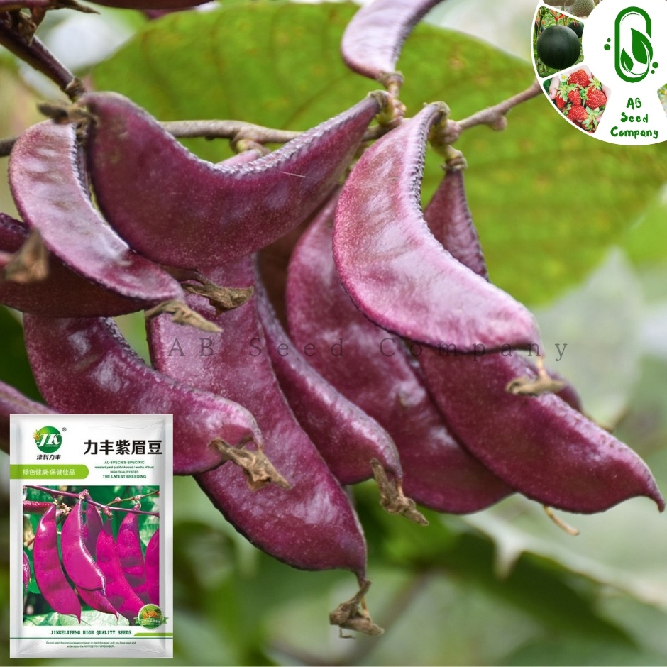 লাল শিম- AB Seed