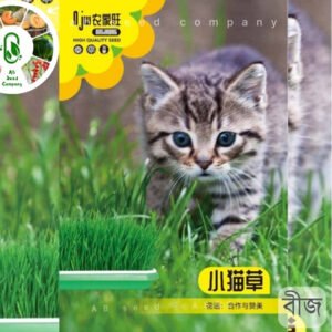 Cat Grass