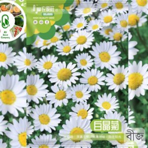 Crystal Daisy