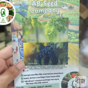 আঙ্গুরের বীজ