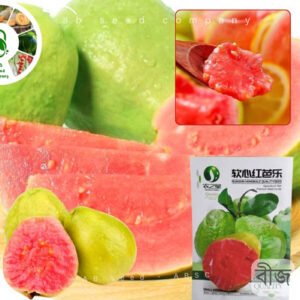 লাল পেয়ারা