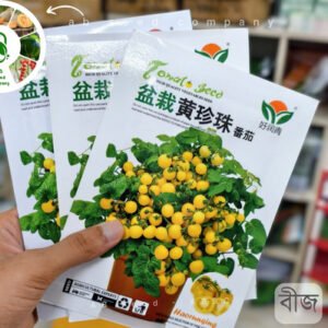 Yellow pearls in pots (১০০ বীজ) হলুদ চেরি টমেটো ✅ টব, ছাদবাগান
