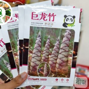 চায়নিজ বাঁশের বীজ ( 60 +/- Seeds )