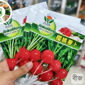 চেরি টাইপ বিটরুট (শীতকালীন সবজি) ( 400-500 Seeds )