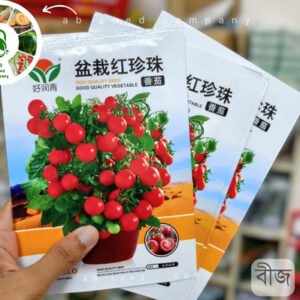 Red pearls in pots (১০০ বীজ) লাল চেরি টমেটো ✅ টব, ছাদবাগান