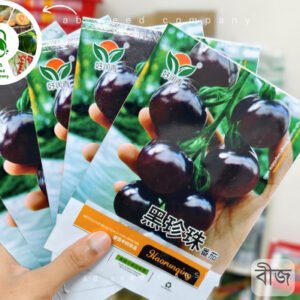 Black tomatoes ( ১০০ বীজ) কালো টমেটোর বীজ ) সাধারণ টমেটোর চেয়ে এটি খেতে যেমন ভালো, বাজারেও এর চাহিদা বেশি
