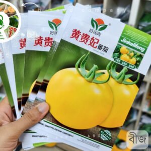 Yellow tomatoes ( ১০০ বীজ) বড়ো হলুদ টমেটোর বীজ ) সাধারণ টমেটোর চেয়ে এটি খেতে যেমন ভালো, বাজারেও এর চাহিদা বেশি