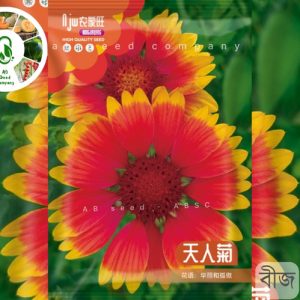 Gaillardia