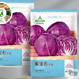 বেগুনি বাঁধাকপি