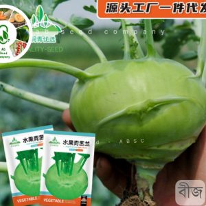 শালগম
