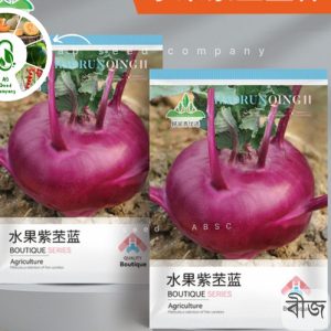 বেগুনি শালগম