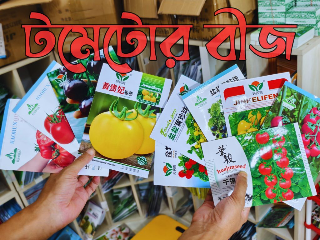 টমেটোর বীজ