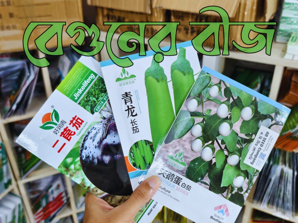 বেগুনের বীজ