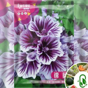 পার্পল ম্যালো ফুলের বীজ