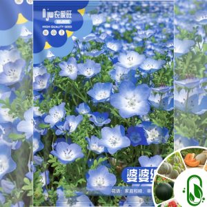 বেবি ব্লু আইজ