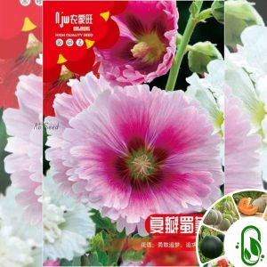 হলিহক ফুল