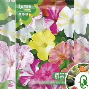 সন্ধ্যামণি